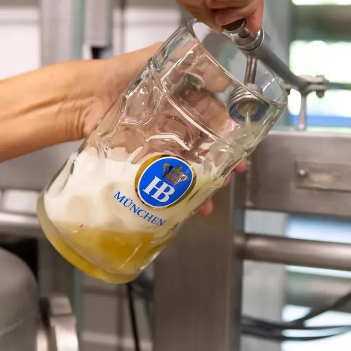 brauereiführung buchen foto brauerei zwickln masskrug