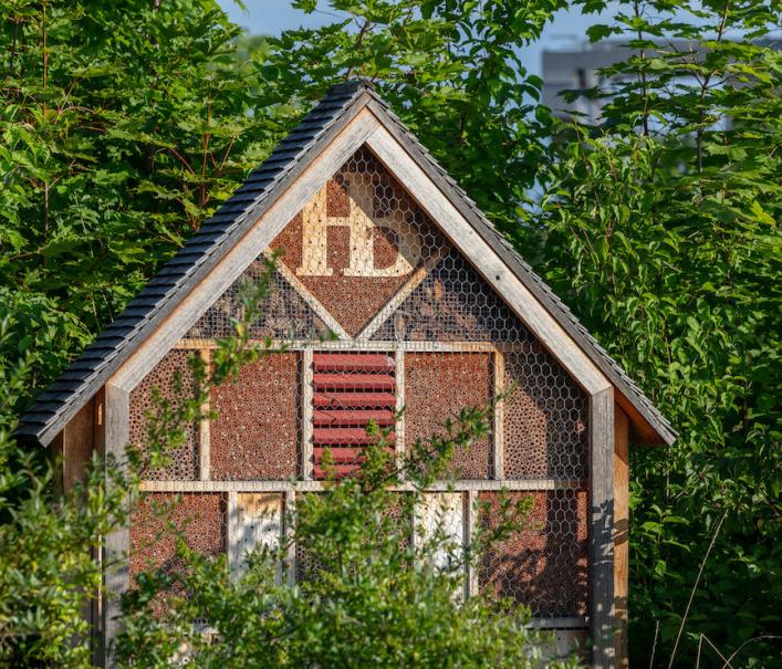 Insektenhotel Umweltengagement Hofbräu Klimaschutz