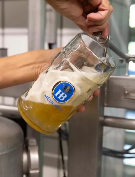 Karriere bei HB Braumeister Probe in der Brauerei Masskrug mit Hand
