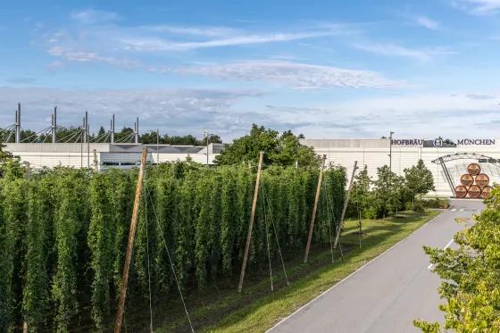 Ressourcen Hofbräu München Umweltschutz Maßnahmen Hopfengarten